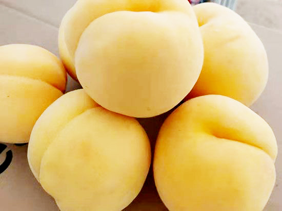 黄金蜜桃